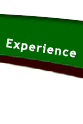 experience