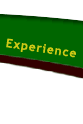 experience